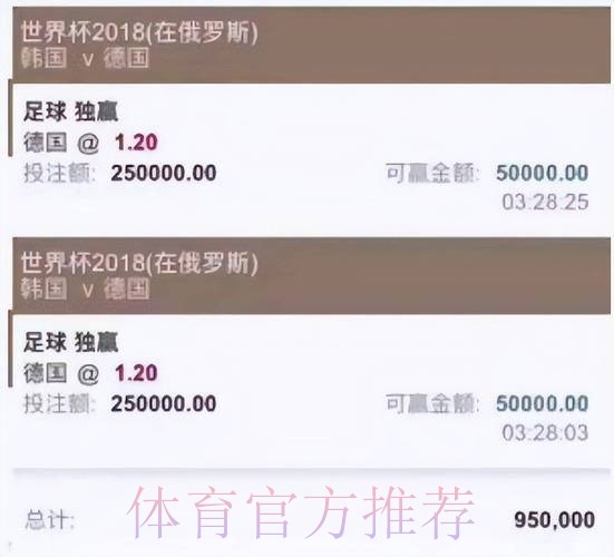 如何挑选人气最高的世界杯投注平台